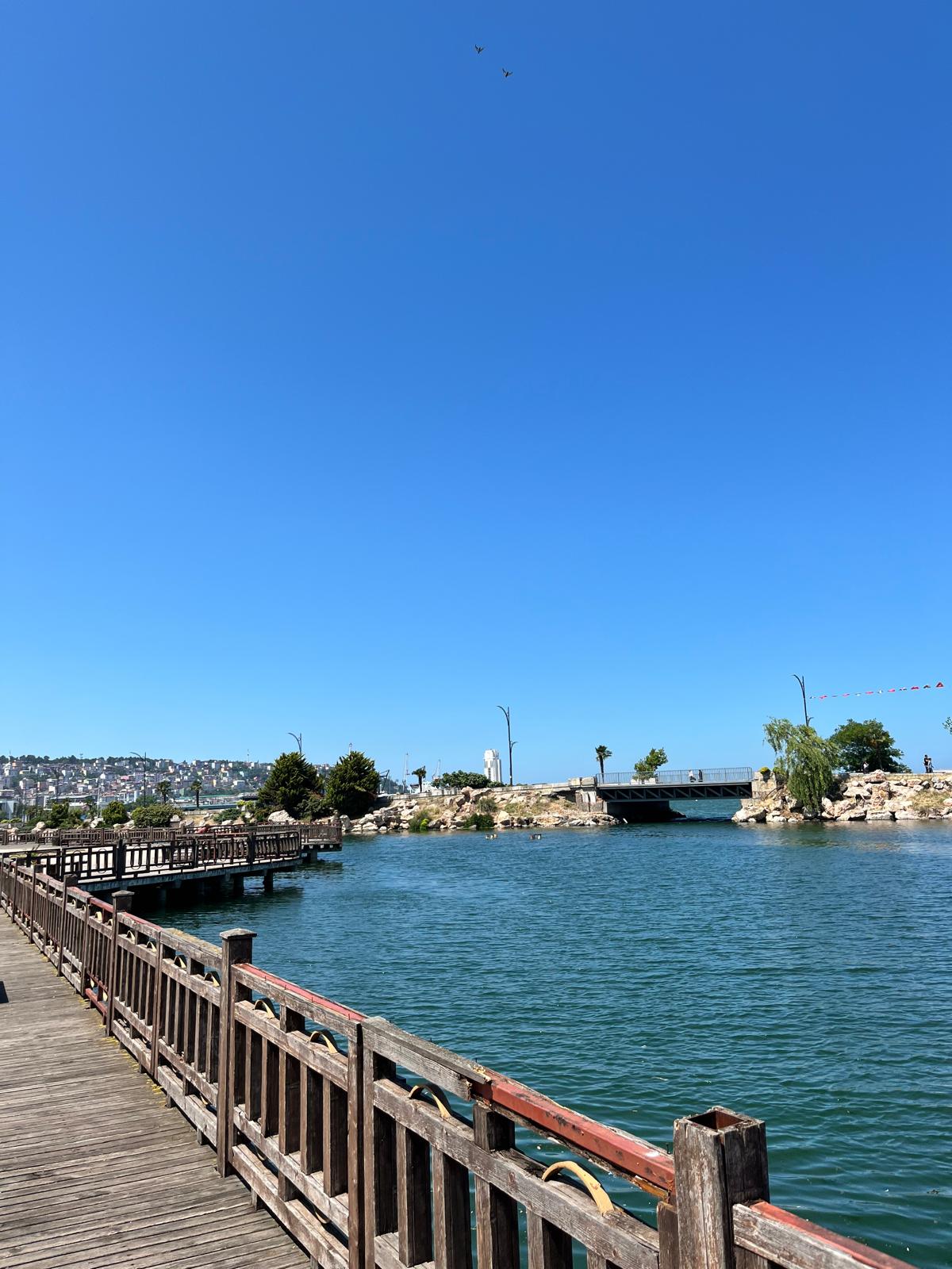 Manzara notu görseli